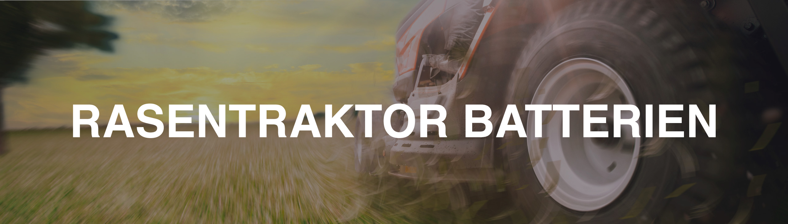 Rasentraktorbatterien category icon/image