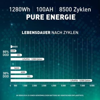 SIGA Lithium Batterie LiFePO4 100Ah 12V