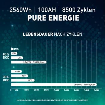 SIGA Lithium Batterie LiFePO4 100Ah 25,6V