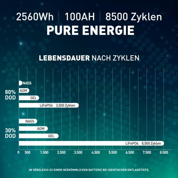 SIGA Lithium Batterie LiFePO4 100Ah 25,6V